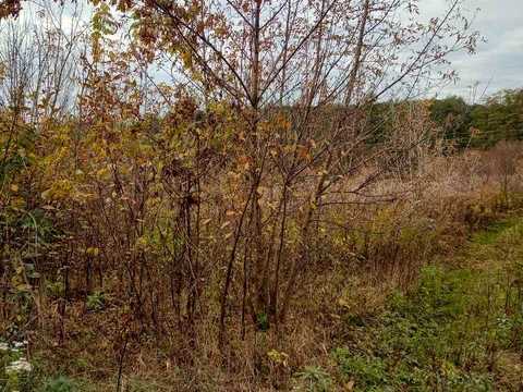 ділянка за адресою Гайдара, 26