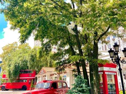 квартира за адресою Михайла Максимовича вул. (Онуфрія Трутенка), 26