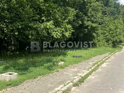 участок по адресу Армейская ул.