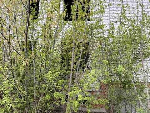 будинок за адресою с. Кобилянка, Речная