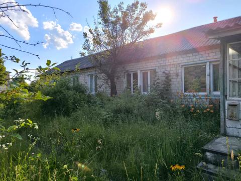 коммерческая по адресу пгт. Репки, Репки, 3