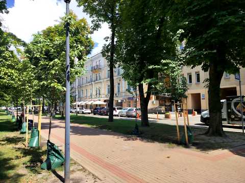 комерційна за адресою Київ, Шовковична вул., 7