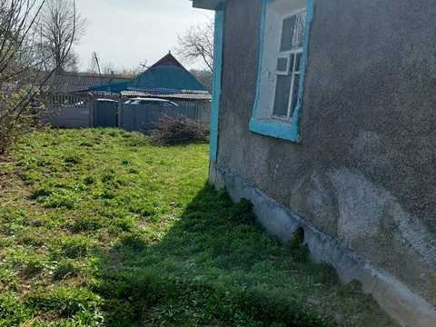 дом по адресу Дружби, 2