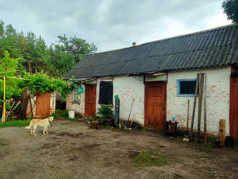 будинок за адресою Мирна