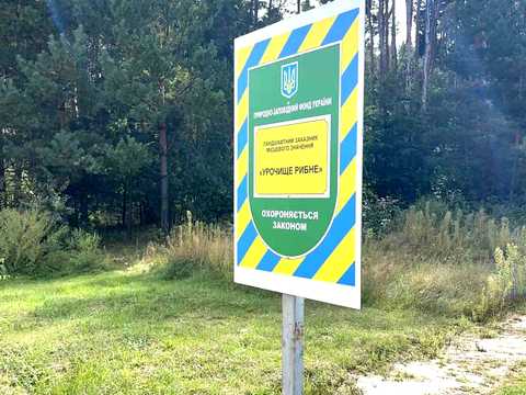 ділянка за адресою Університетська, 8