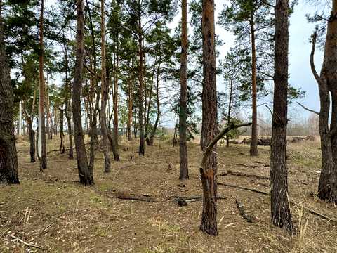 ділянка за адресою Левка Симиренка, 61