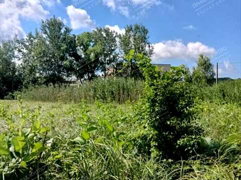ділянка за адресою центральна, 1