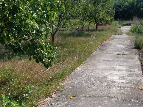 ділянка за адресою Самар (Новомосковськ), Вільне