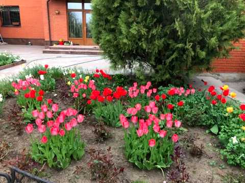 будинок за адресою Степана Бандери вул., 44