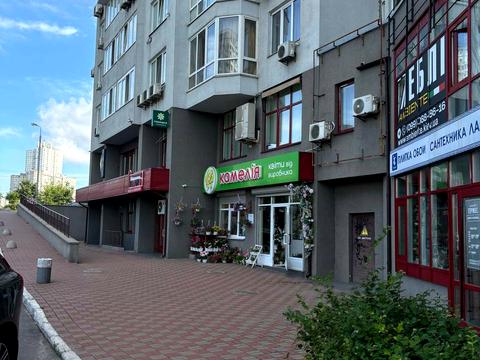 комерційна за адресою Єлизавети Чавдар вул., 1