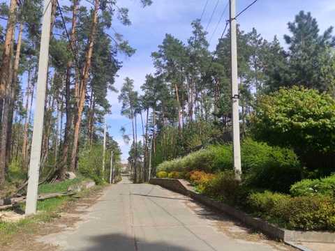 ділянка за адресою Лісова
