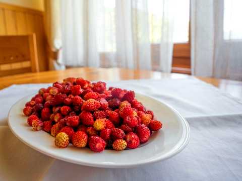 дом по адресу Кам'янка