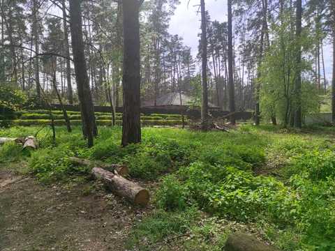 ділянка за адресою Лісова