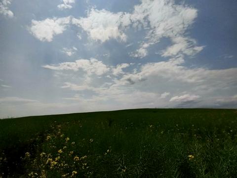 участок по адресу с. Солонка, алгоритмічна