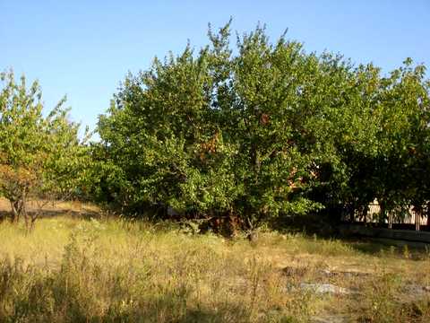 ділянка за адресою Квіткова, 103