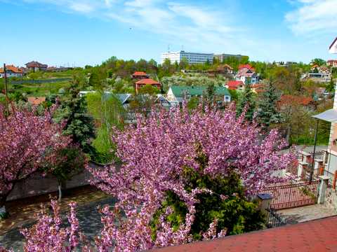 будинок за адресою Кошицька вул.