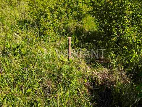 участок по адресу 