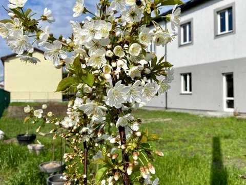 будинок за адресою Євгена Гребінки вул., 5-А