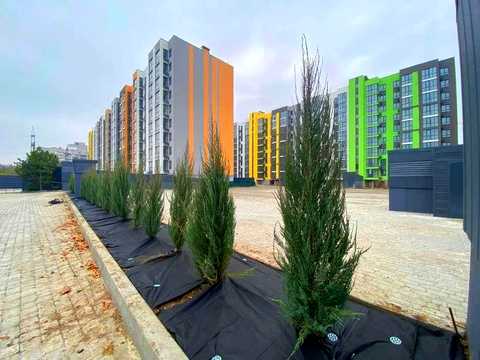 квартира за адресою Запорізьке шосе, 32