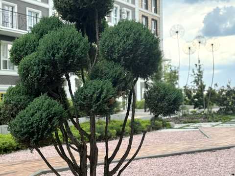 квартира за адресою Михайла Максимовича вул. (Онуфрія Трутенка), 24-В