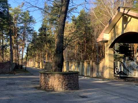 ділянка за адресою смт. Козин, Соловьяненко