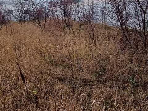 ділянка за адресою Гомоненка вул., 5