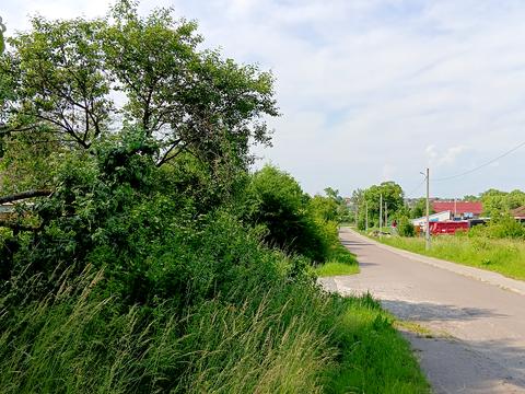 ділянка за адресою с. Кам'янопіль, Грушевського, 1