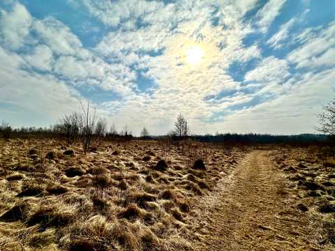 участок по адресу с. Солонка,