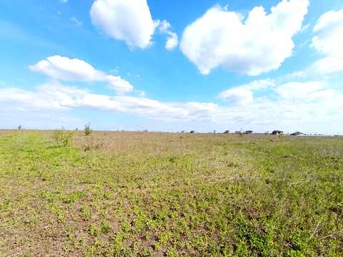 ділянка за адресою Хмельницький, біля Царського озера