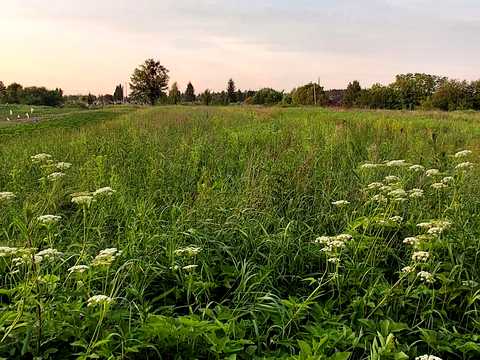 участок по адресу Игнатия Лукасевича ул.