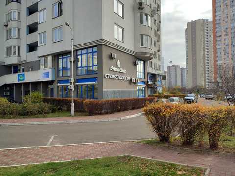 комерційна за адресою Єлизавети Чавдар вул., 7