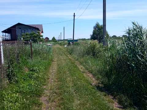 участок по адресу с. Гамалиевка, Гамаліївка