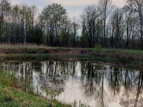 будинок за адресою Лісова