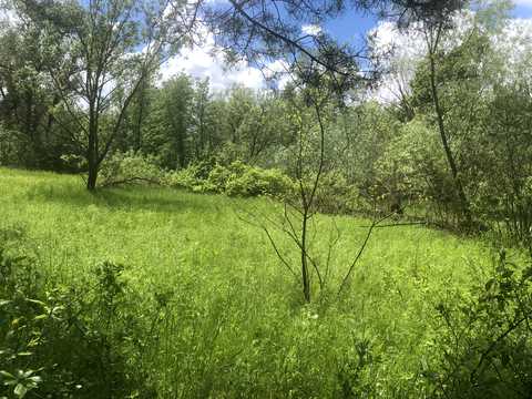ділянка за адресою с. Новоселівка,
