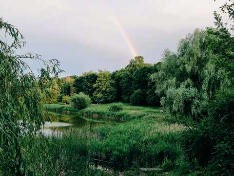 квартира по адресу Криворожская ул., 13