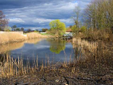 ділянка за адресою с. Матвіївка, 