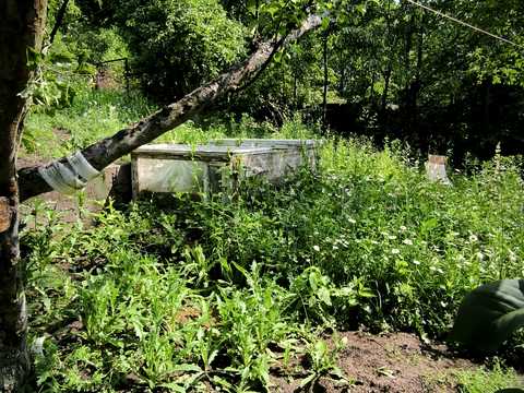 будинок за адресою Лісова