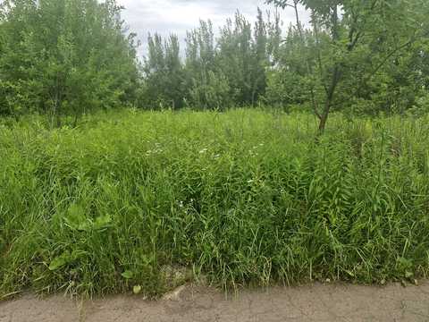 ділянка за адресою Хінчанка