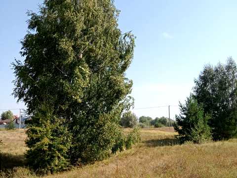 участок по адресу вул. Лугова