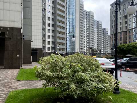квартира за адресою Андрія Верхогляда вул. (Михайла Драгомирова), 16