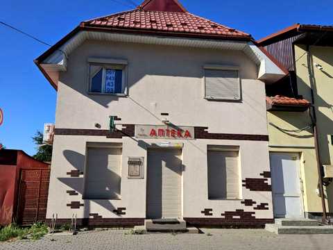 комерційна за адресою Миколи Леонтовича вул., 116