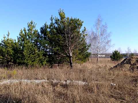 ділянка за адресою Каштанова