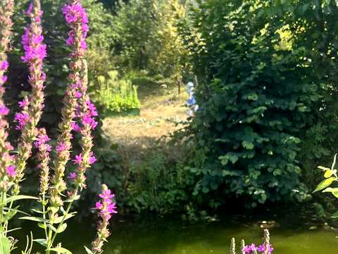 будинок за адресою Енергетична, 7