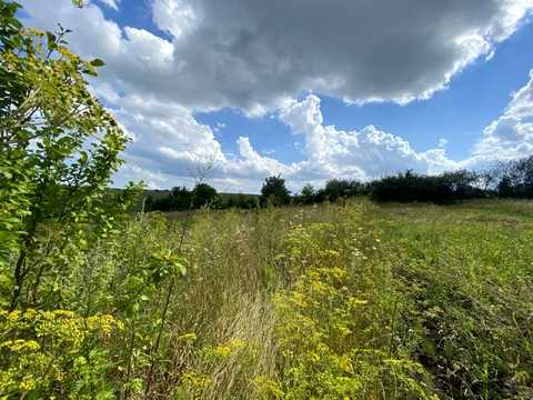 ділянка за адресою Зв'язківців