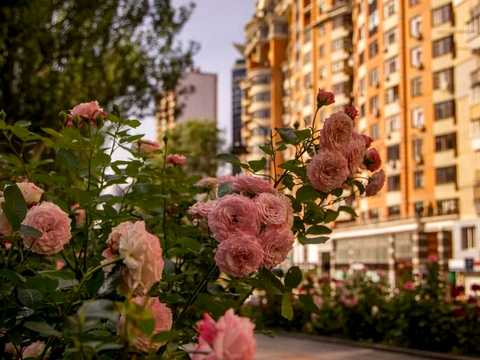 квартира за адресою Лесі Українки бульв., 7-Б