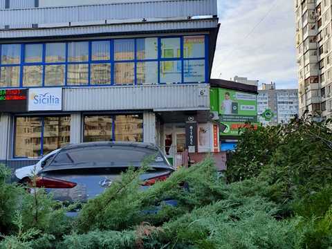 паркоместо по адресу Ларисы Руденко ул., 6-А