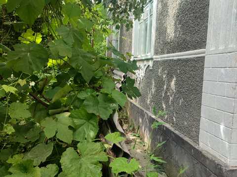 будинок за адресою садова, 7