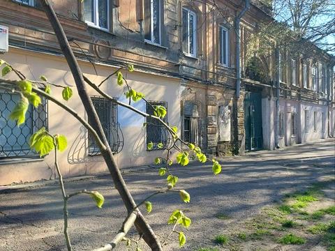 квартира за адресою Заньковецької вул., 10