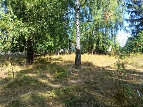 комерційна за адресою с. Подільське, Центральна, 7