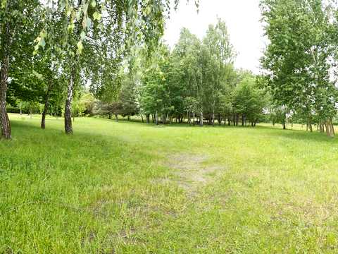 ділянка за адресою Центральна вул., 777